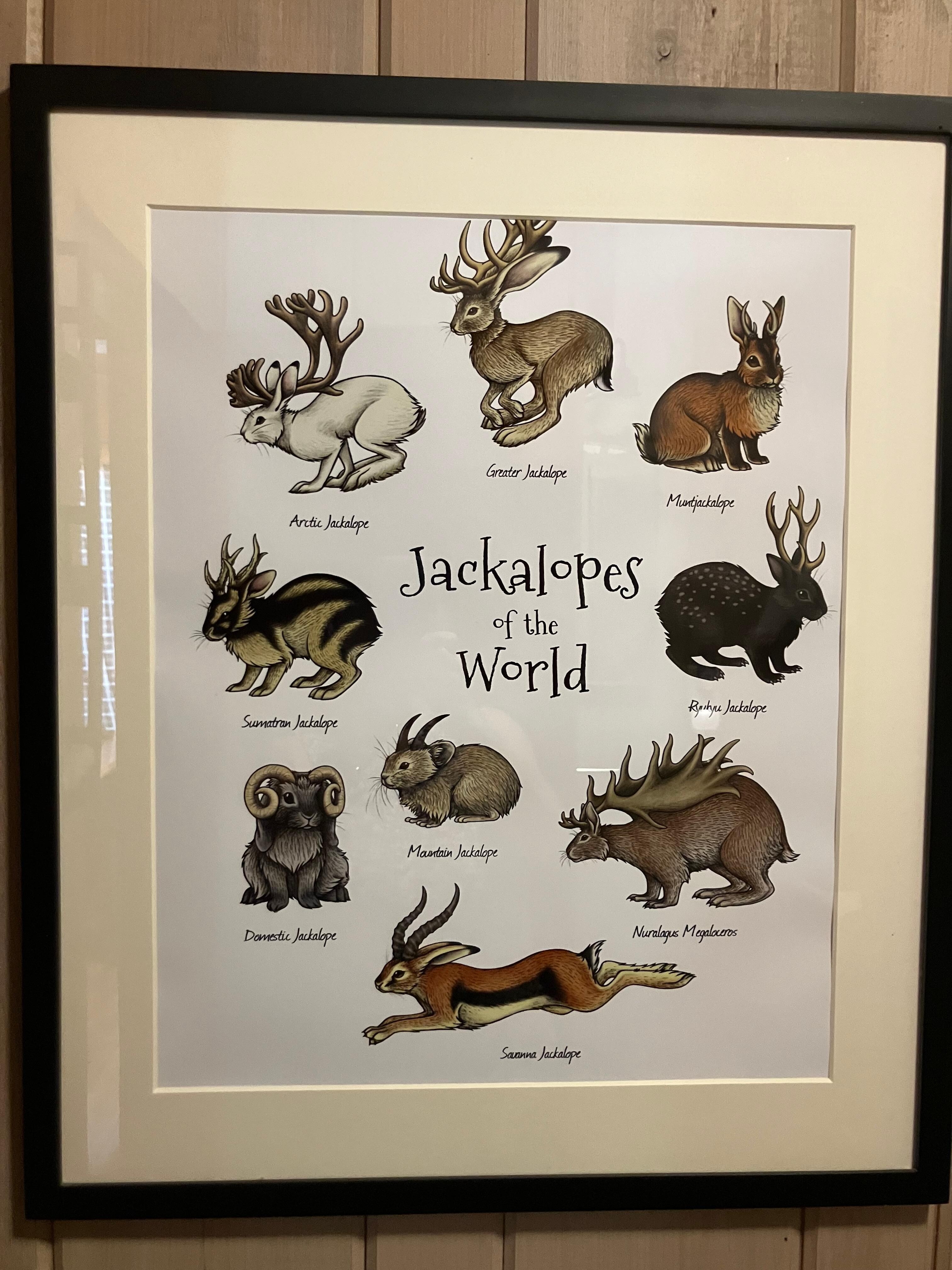 Cute decor made us smile. Coffee even tastes better from jackelope mugs!!!