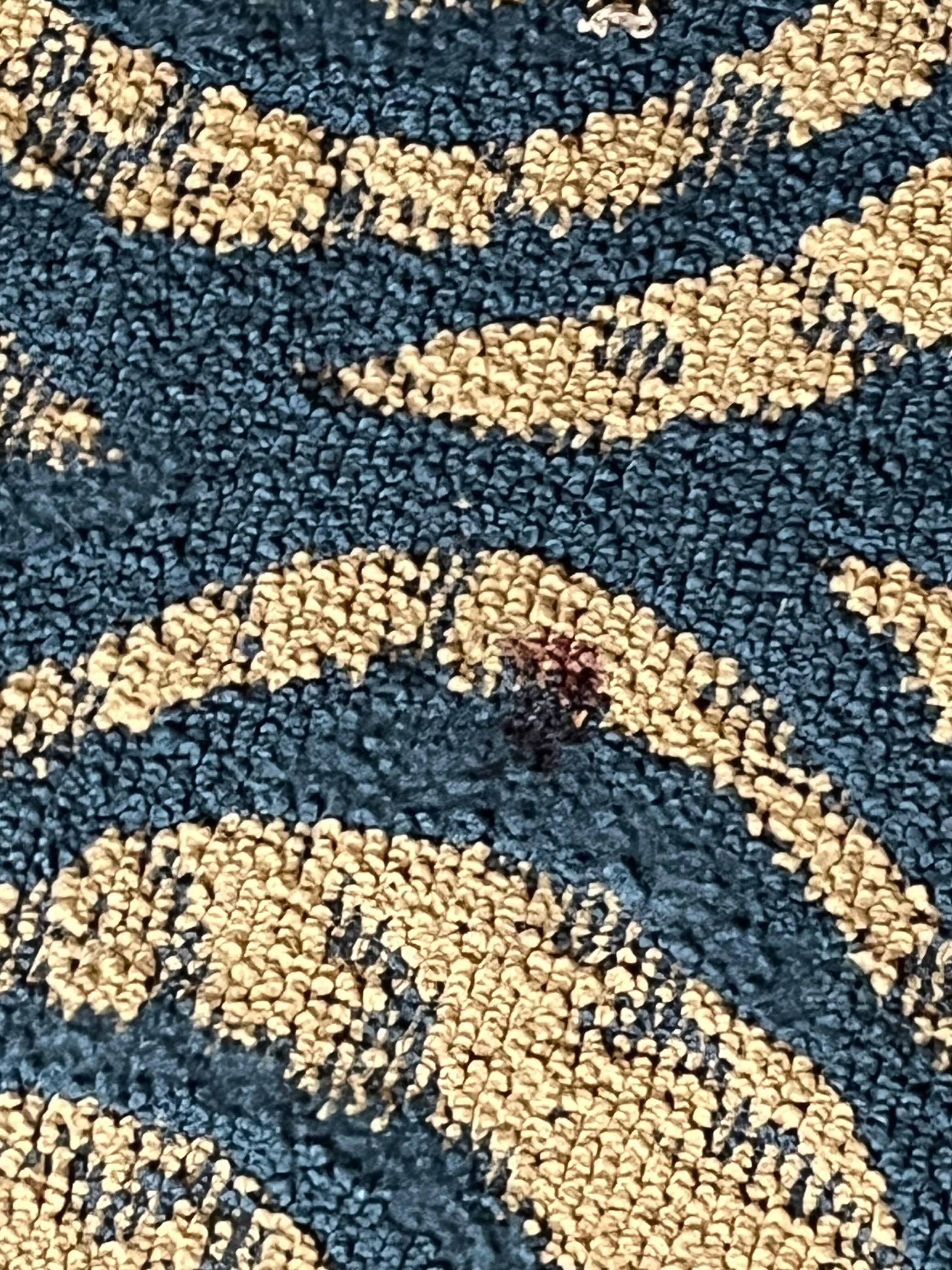 Sticky stuff on the carpet 