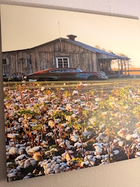 Every room has these cottonfield canvases…not sure if the owner understands the implications behind this but not a good look