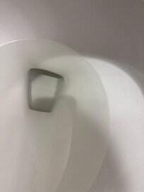 Dirty toilet