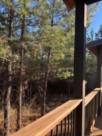 Scenic views from every angle of the deck