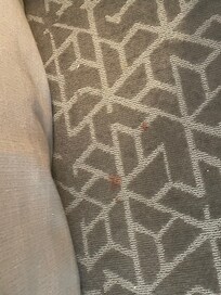 Off putting red stain that seemed recent