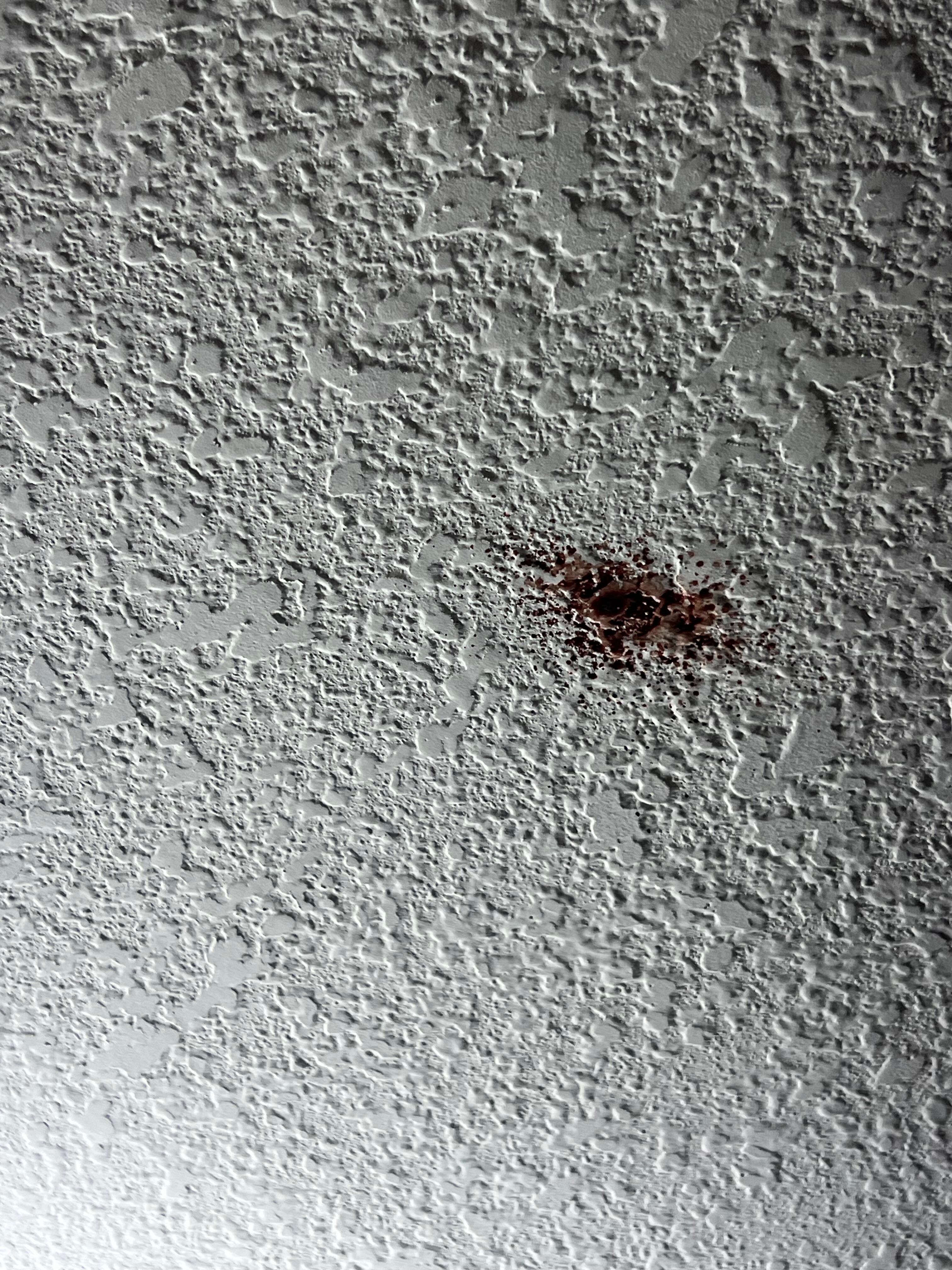 Blood on the ceiling 
