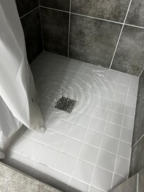 Standing water in the shower.