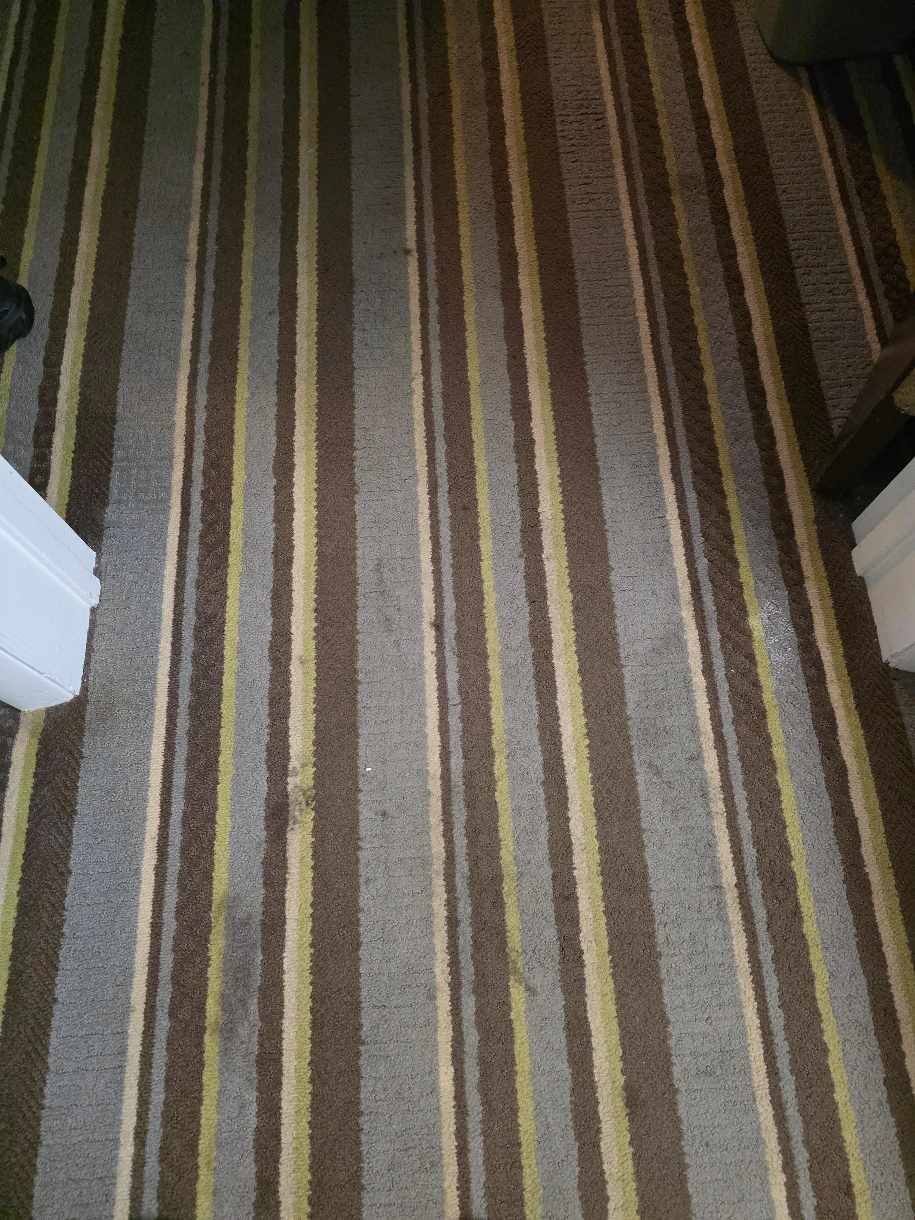 Floors marked and gross