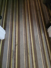 Floors marked and gross