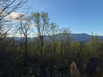 From the deck