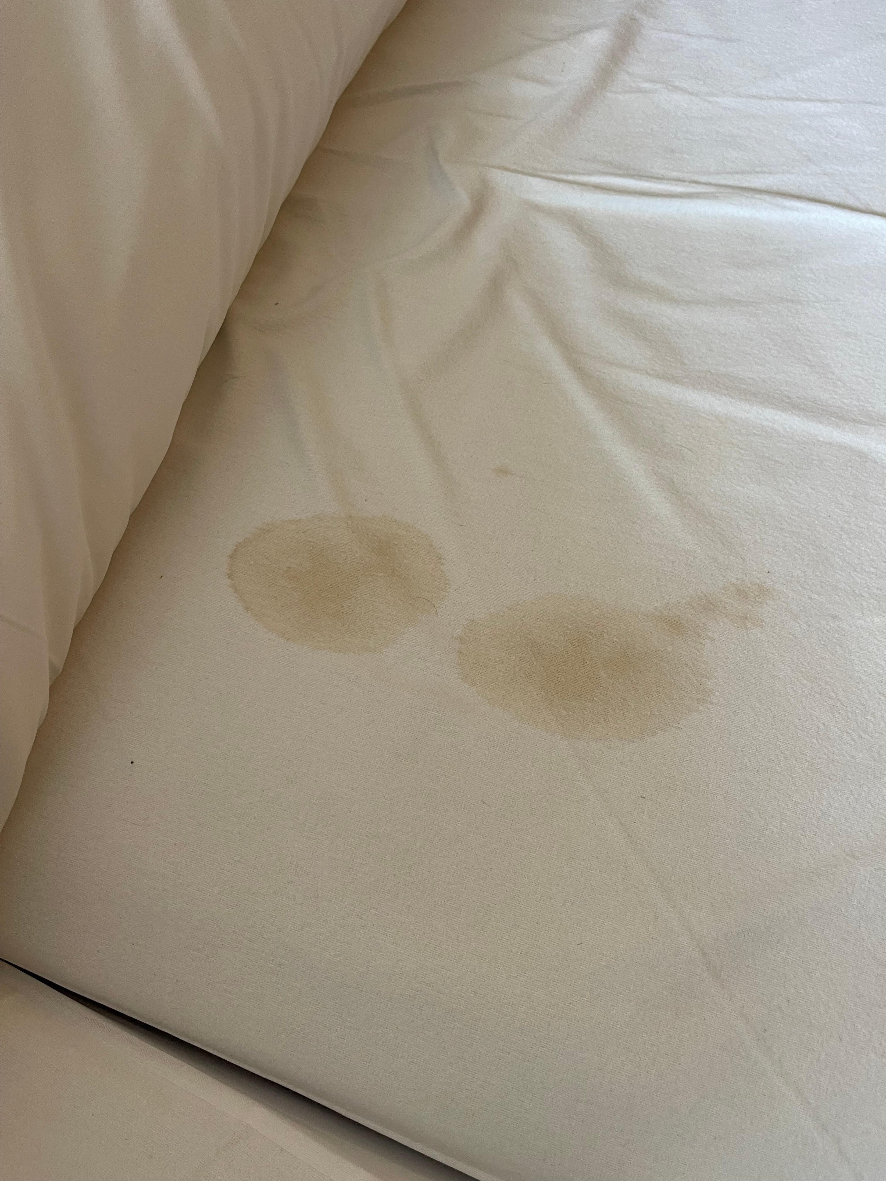 Bed stains 