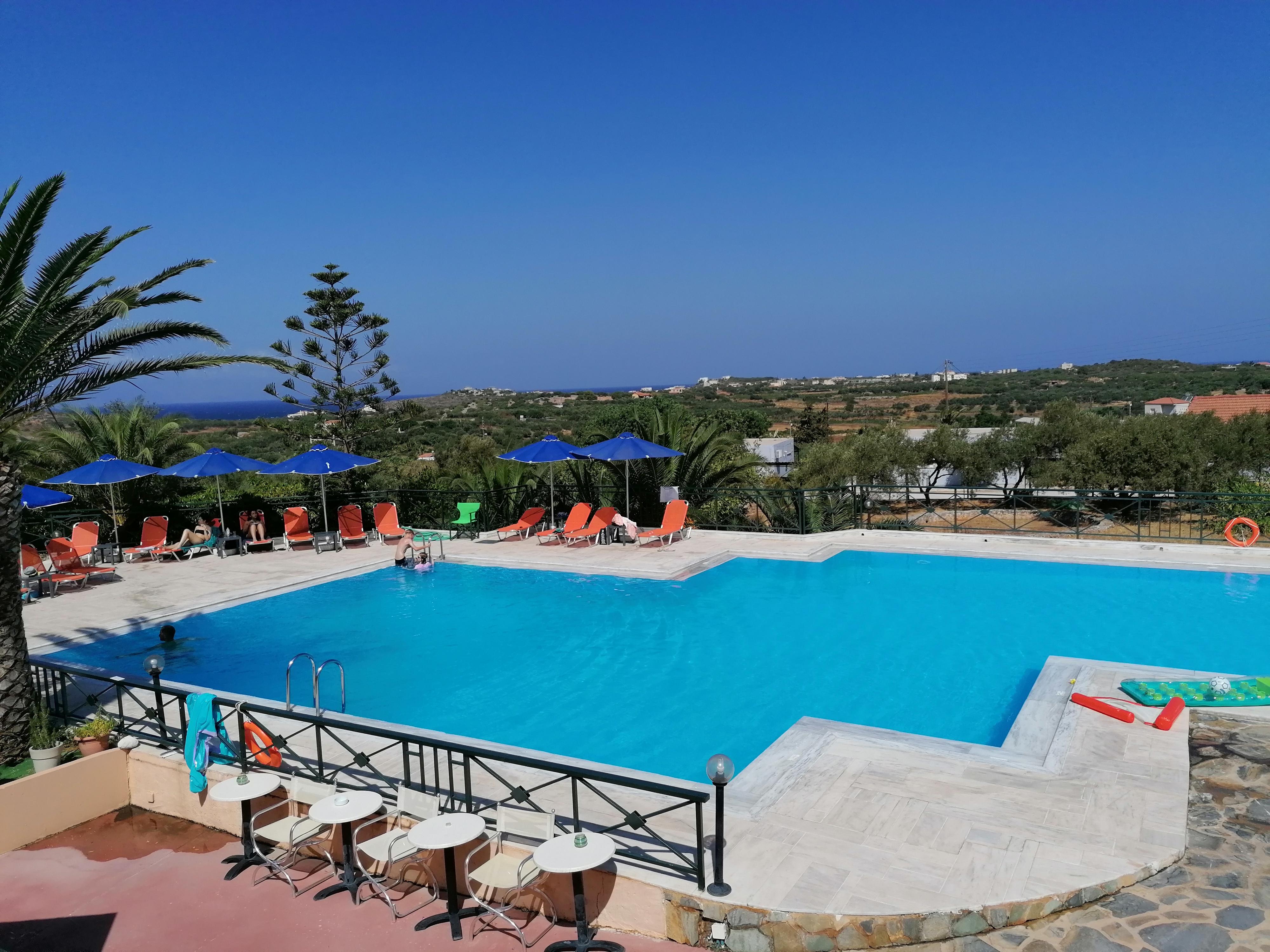 Swimming pool with a view 