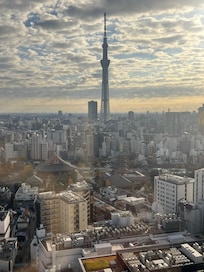 Skytree from Musashi Breakfast Room