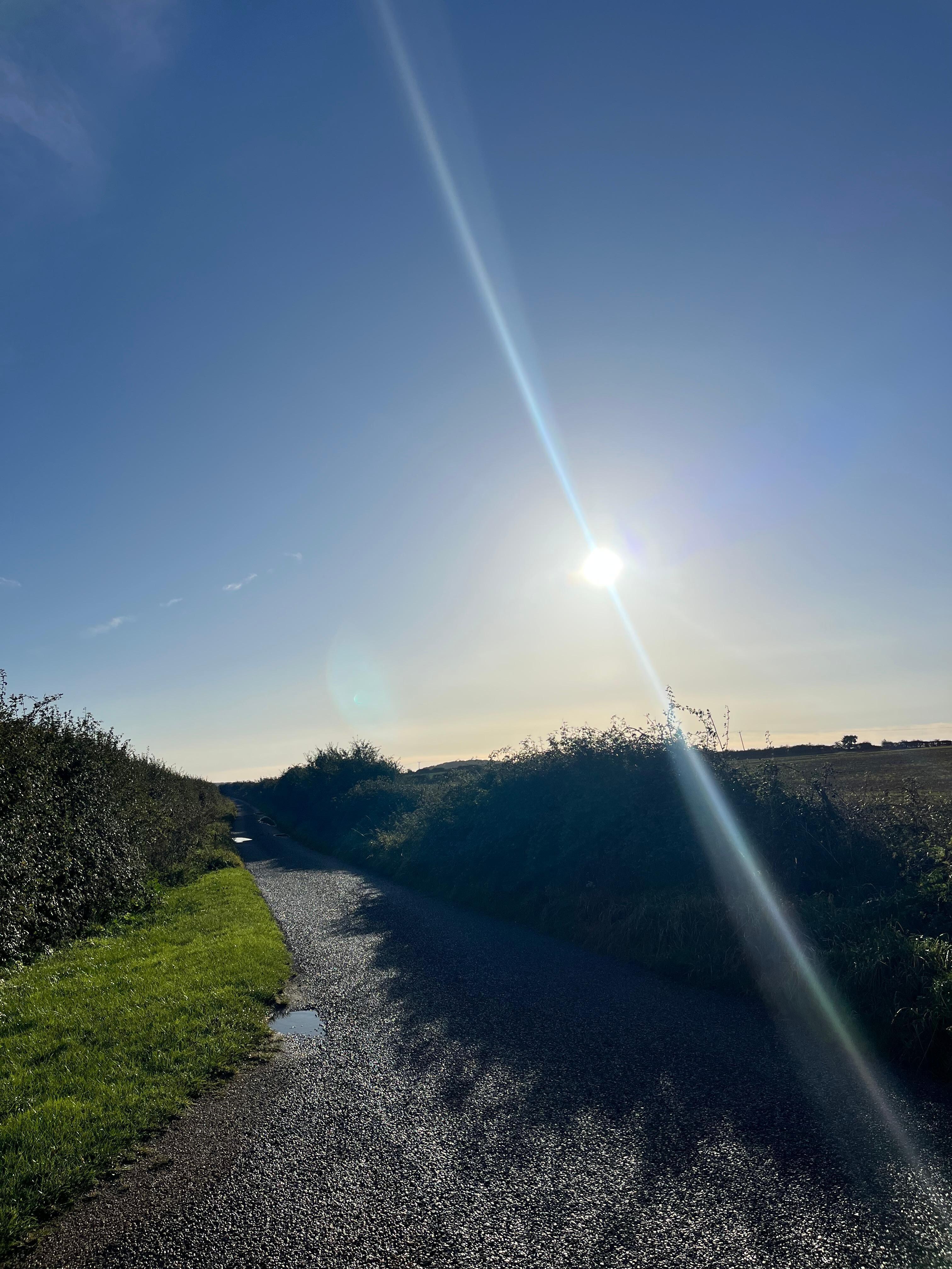 Morning walk and good for gravel bikes 