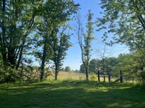 View from the backyard