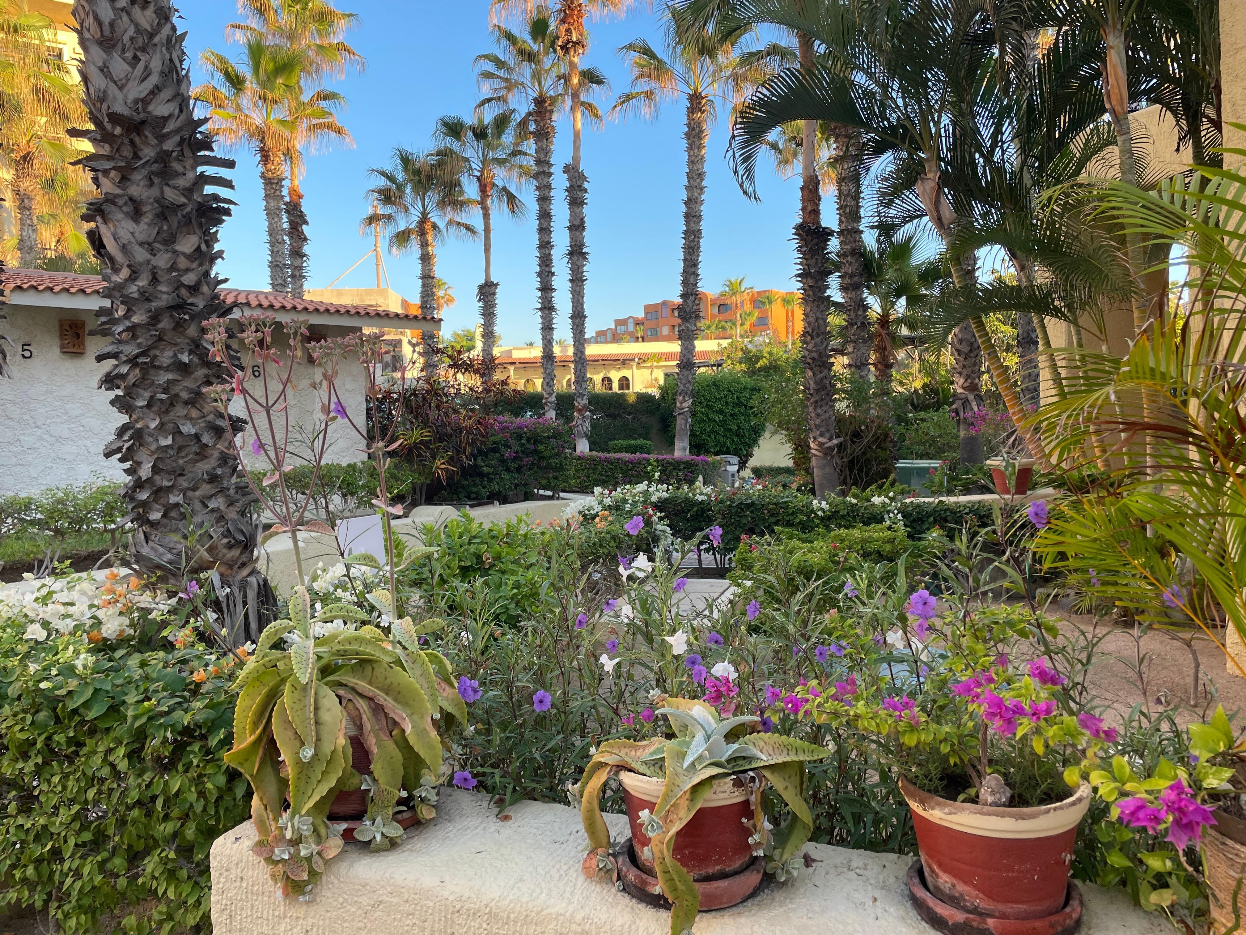 Immaculate grounds of the property