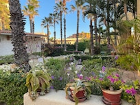 Immaculate grounds of the property