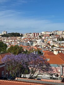 Another view from the terrace