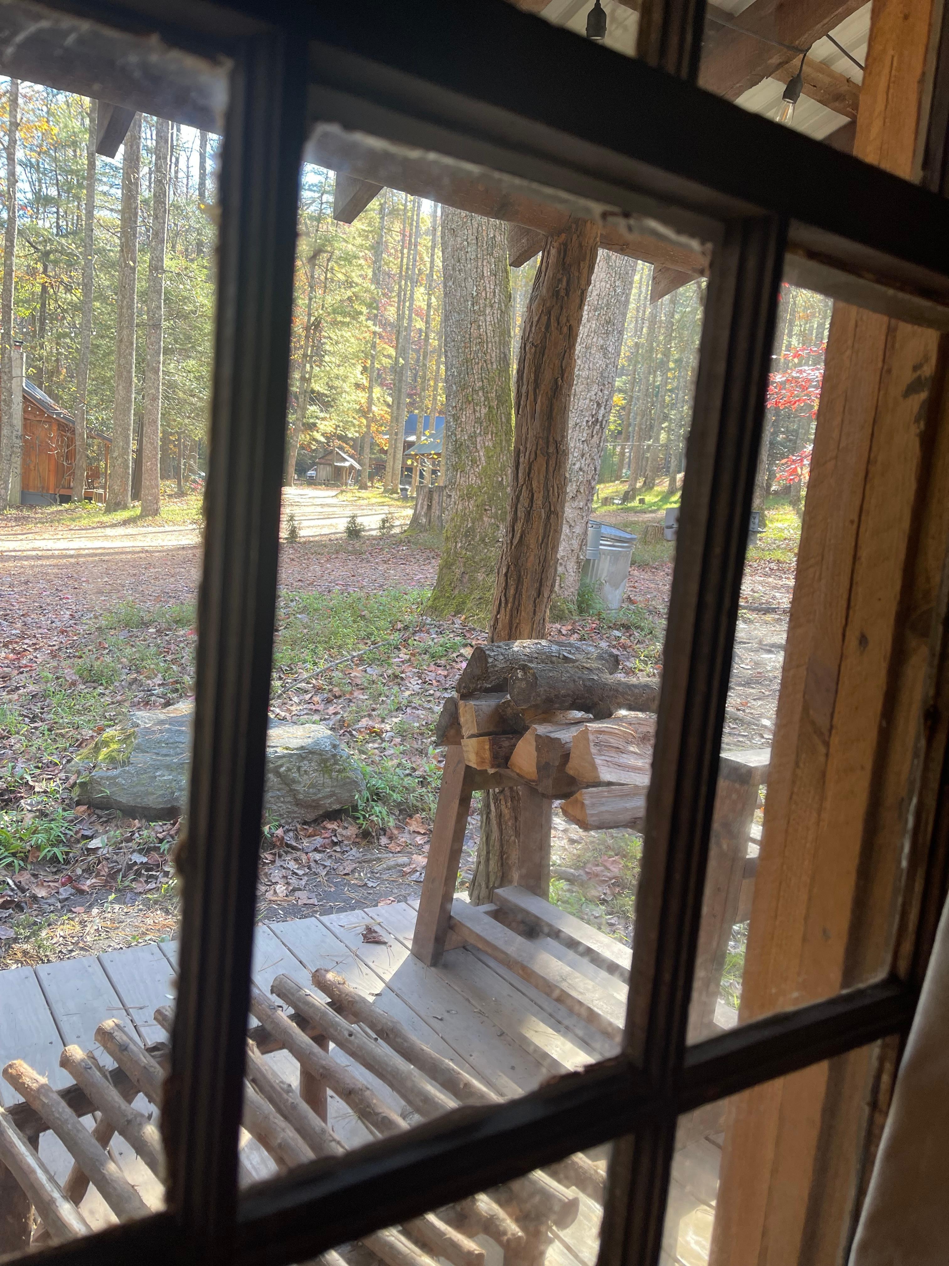 Looking out from the sofa. 