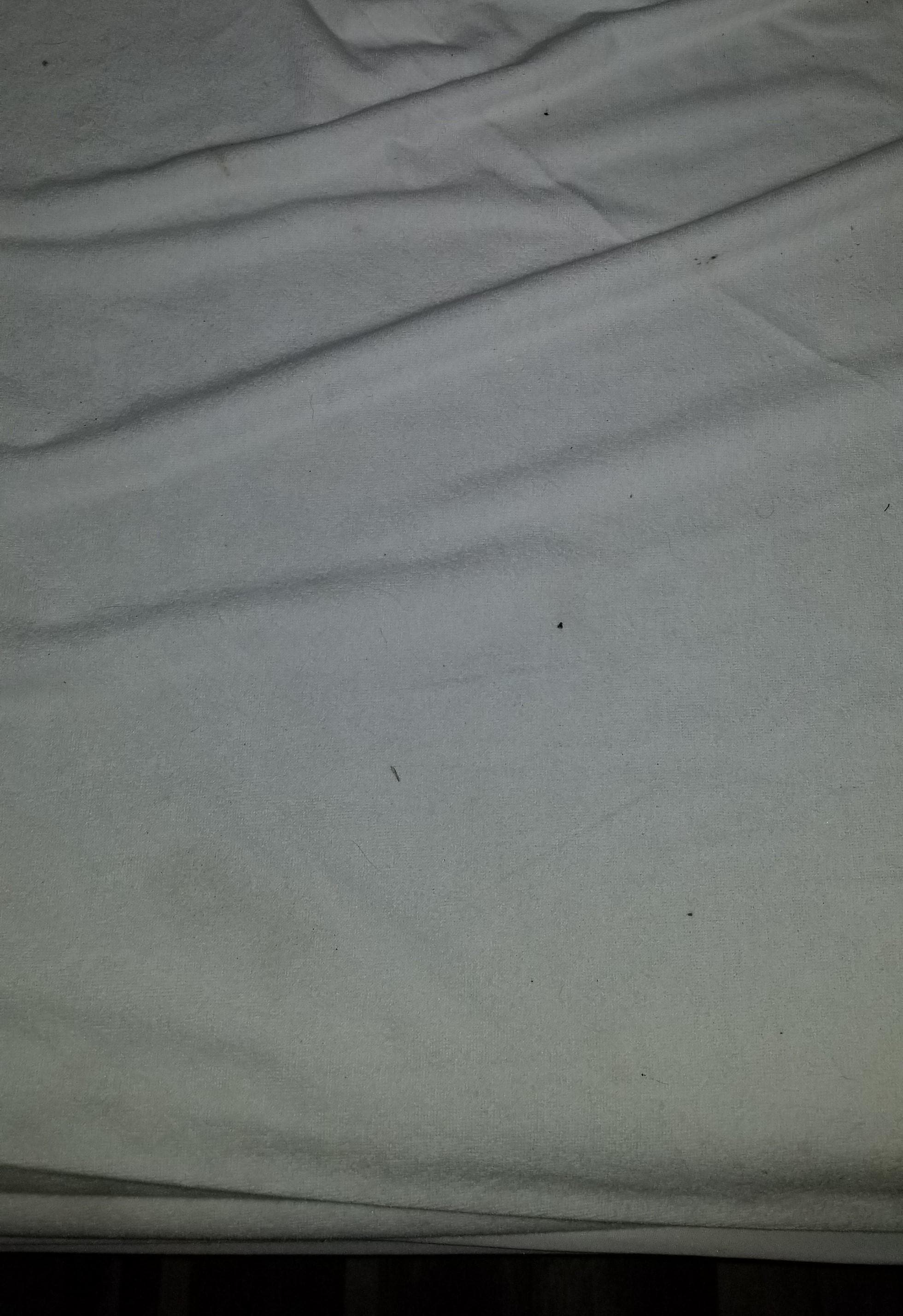 Black dirt (bug dung?) stuck to the mattress protector in the master suite.