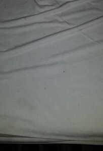 Black dirt (bug dung?) stuck to the mattress protector in the master suite.