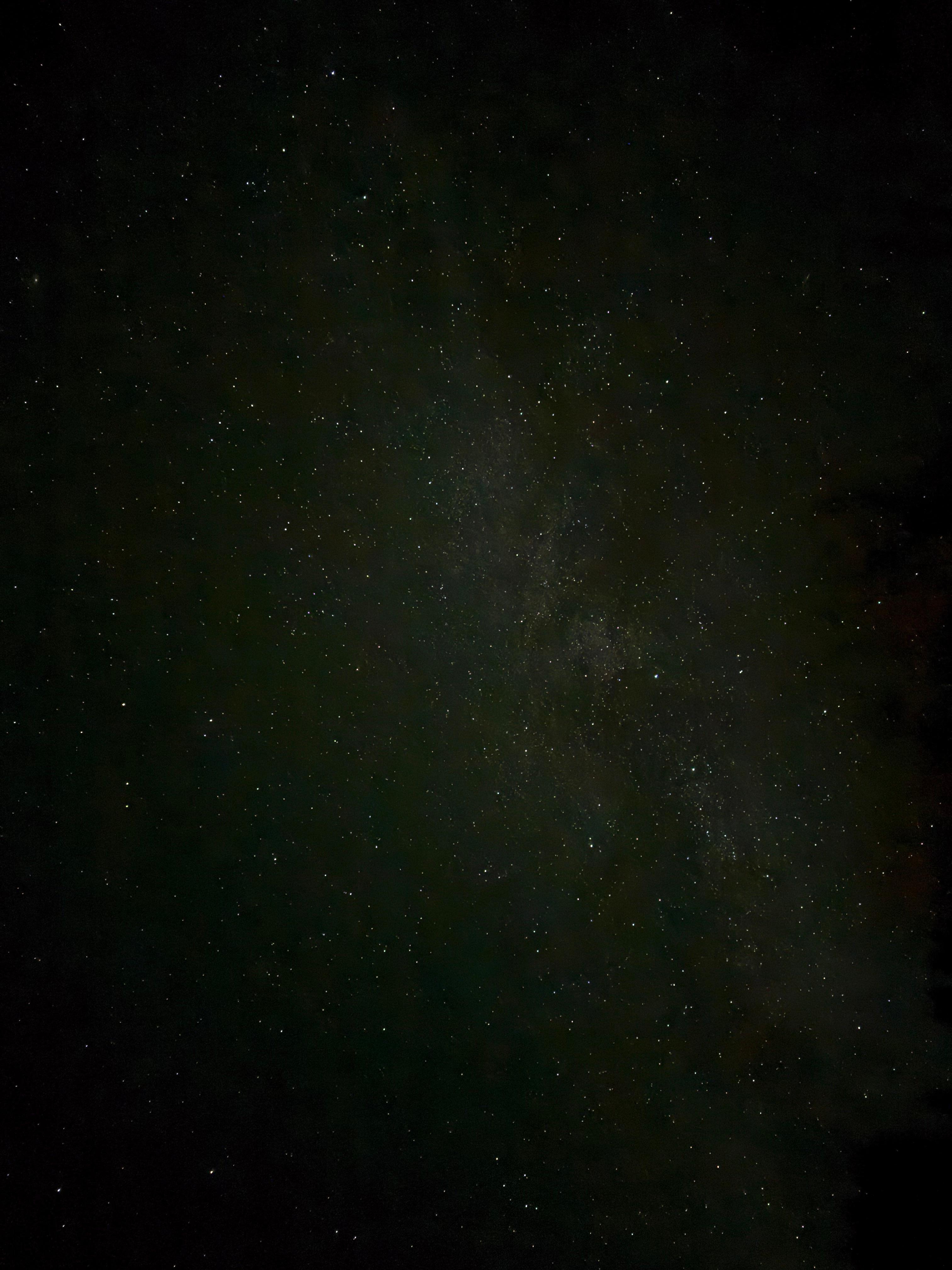 I gasped when I looked up!