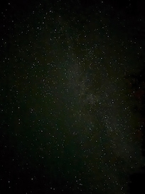 I gasped when I looked up!