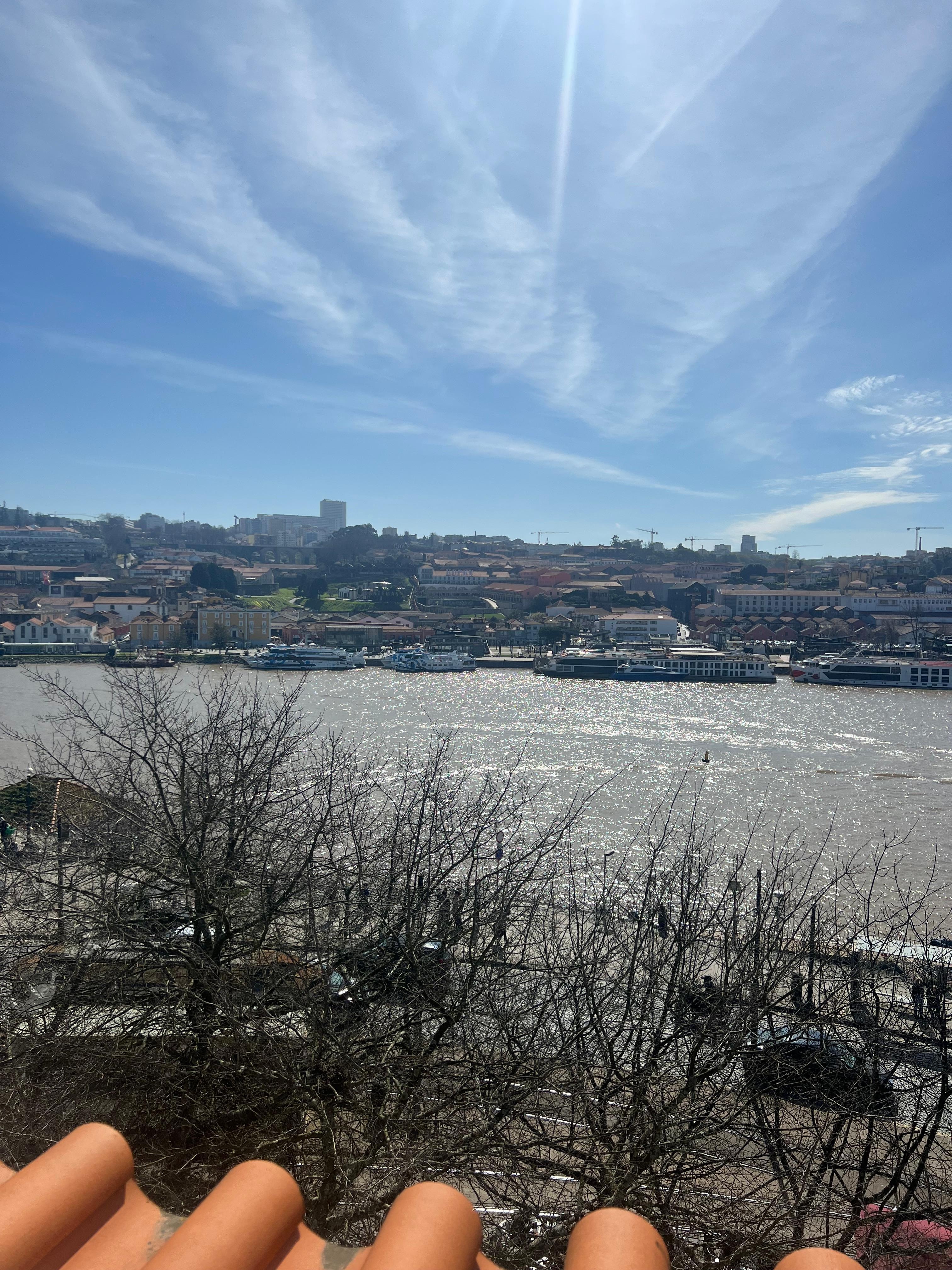 River view from the room 