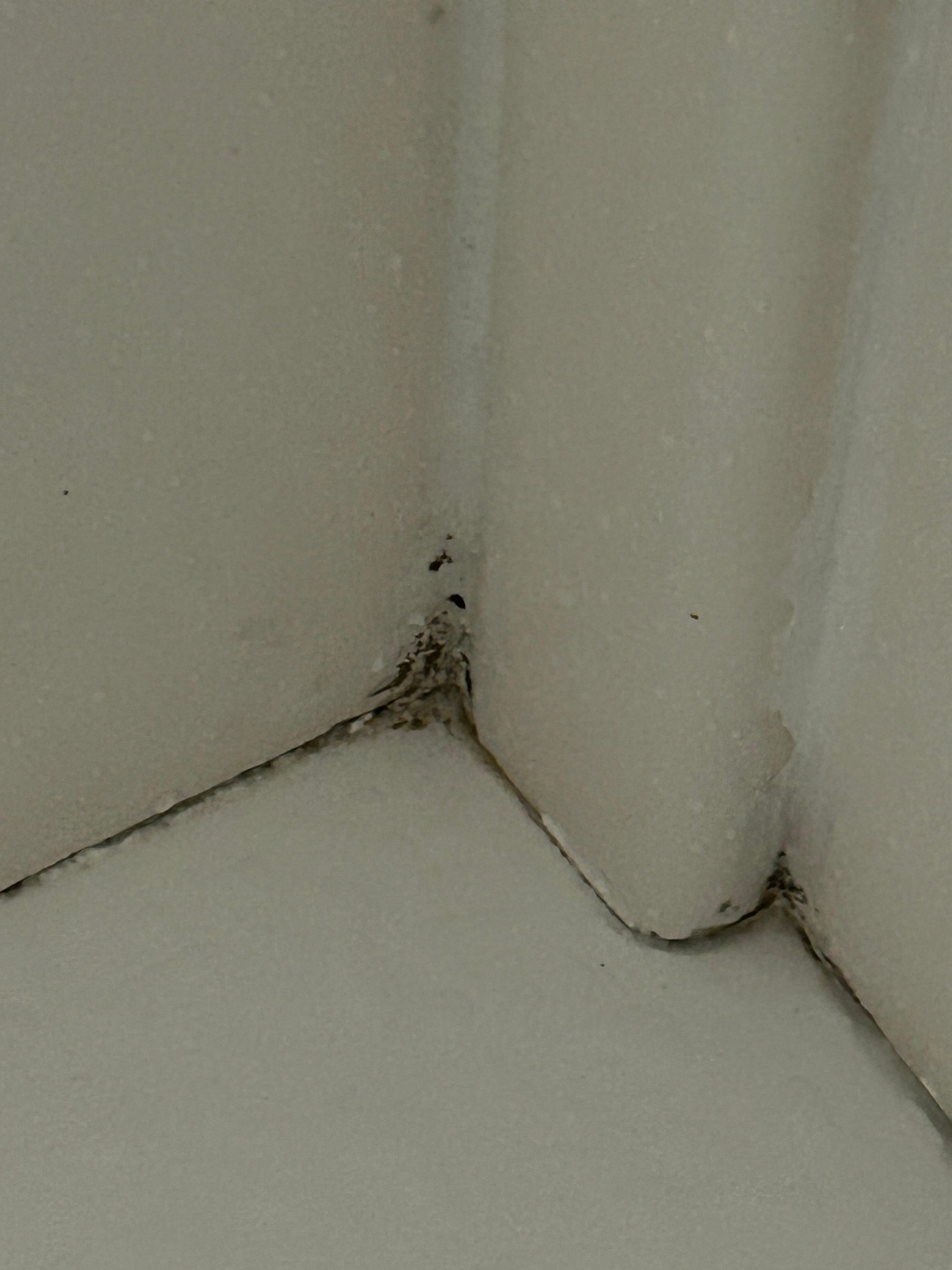 bath tub dirt and mold