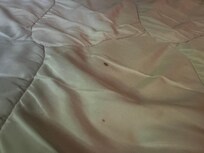 Reddish brown stains on mattress cover at check-in