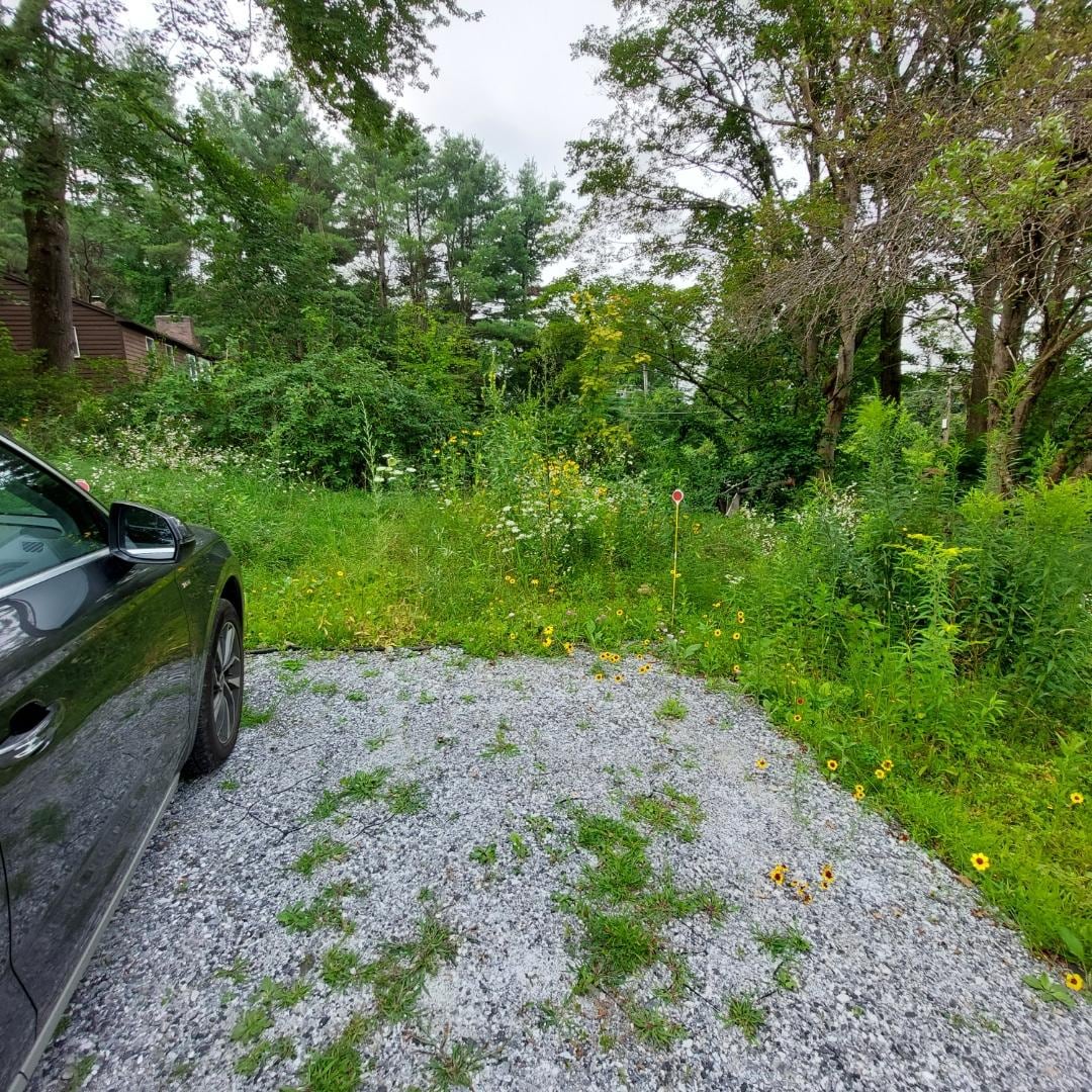 View from parking area