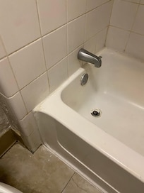 Dirty grout and plenty of mold.