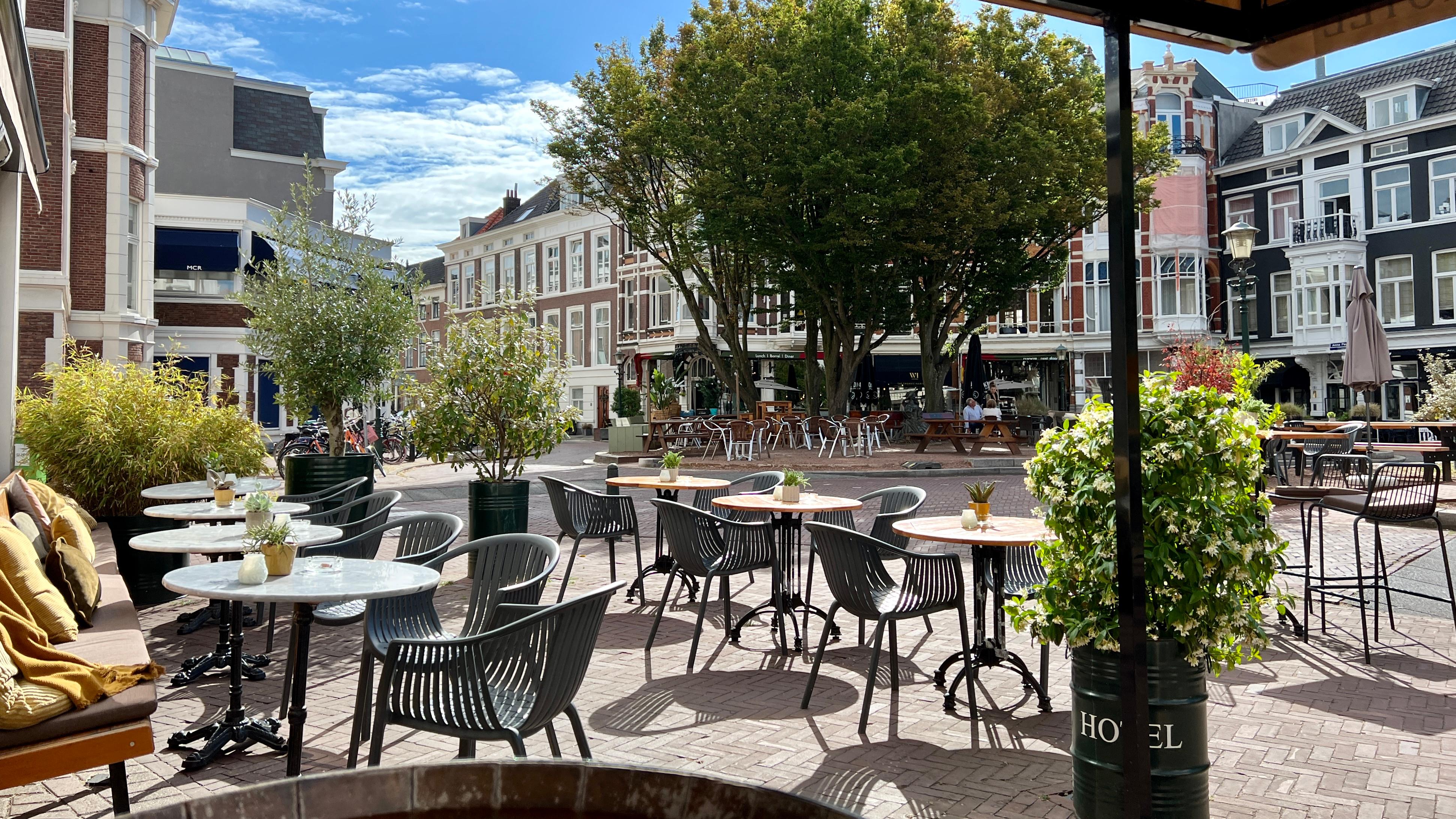 View from breakfast table