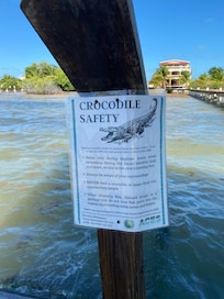 We saw crocs even in the afternoon