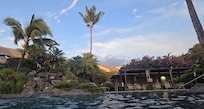 The Pool on the East of the property.