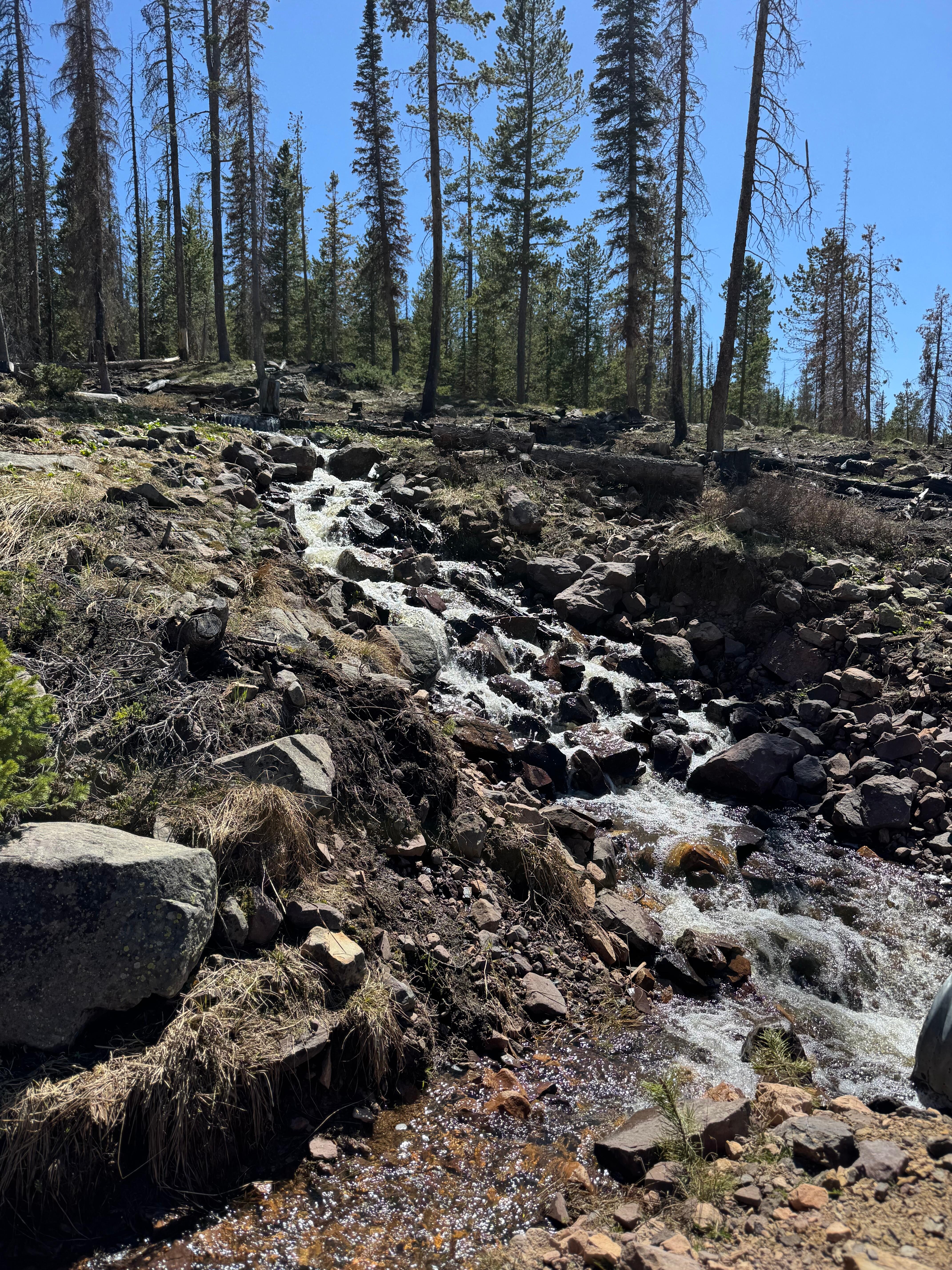 Soapstone snowmelt 