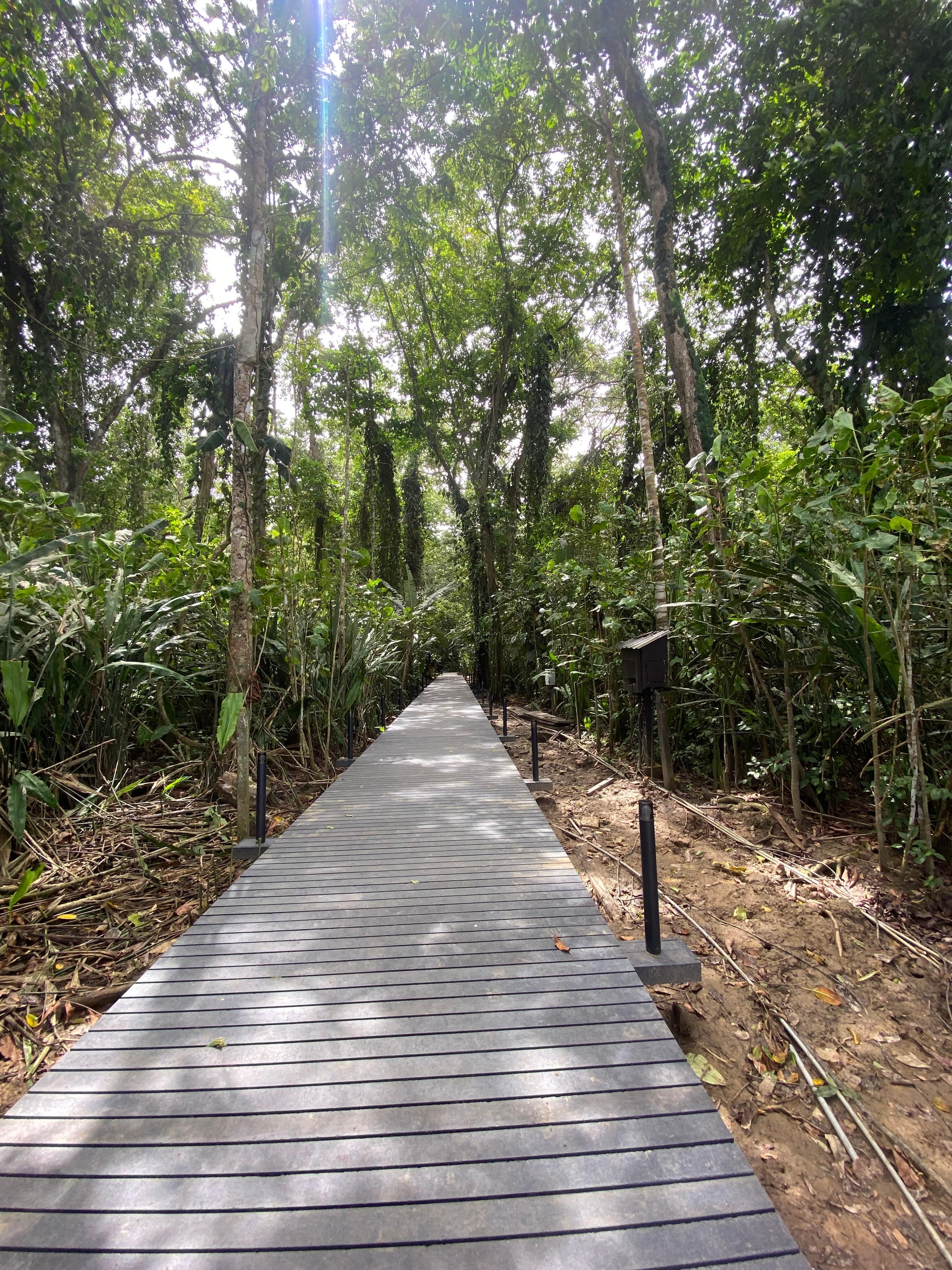 walk to the beach comfortably through the jungle