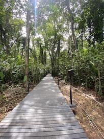 walk to the beach comfortably through the jungle