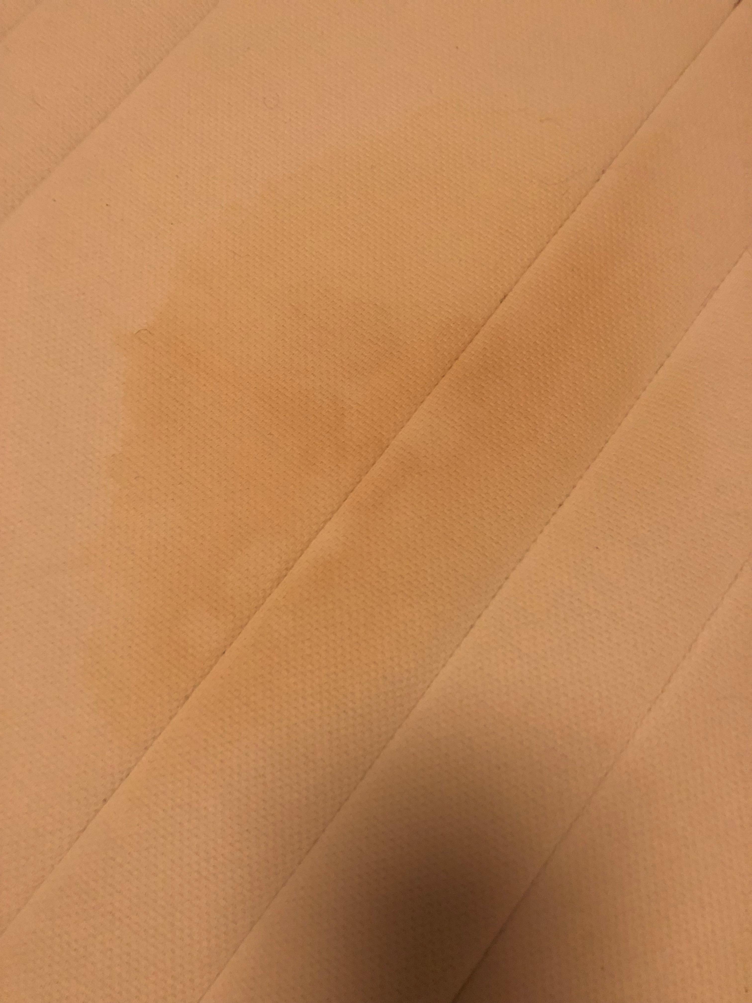 Stained, filthy mattress 