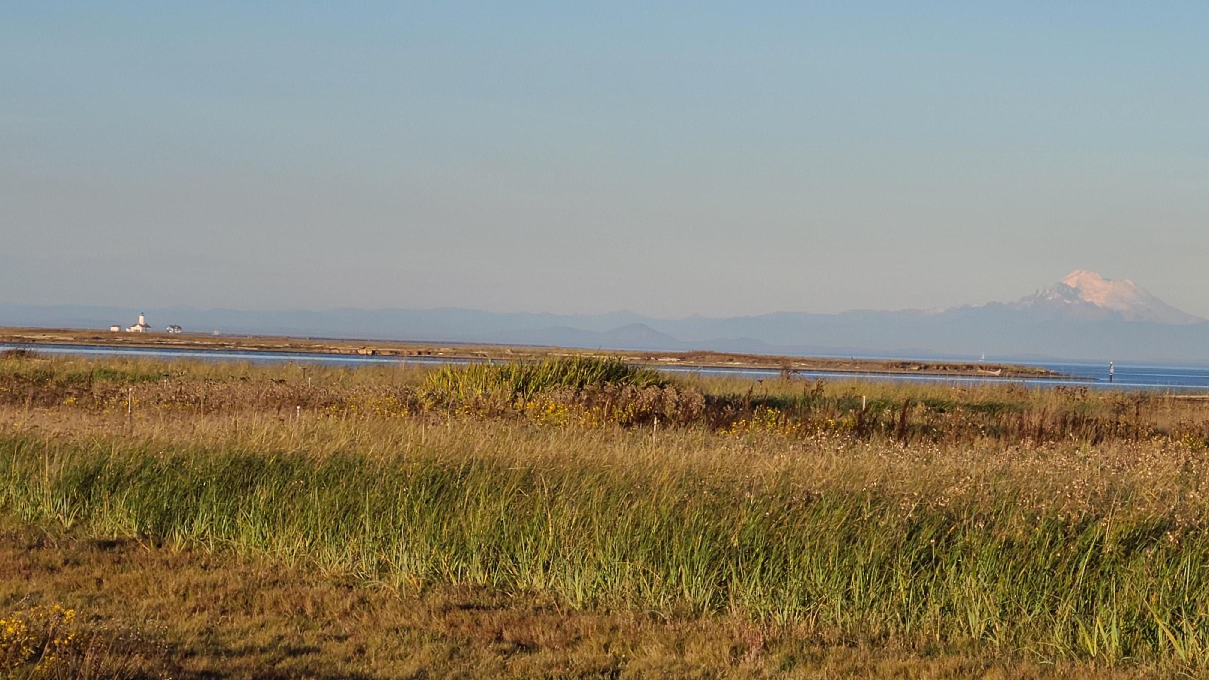 A view of Mt. Baker and Dungeness Lighthouse from Cline Spit