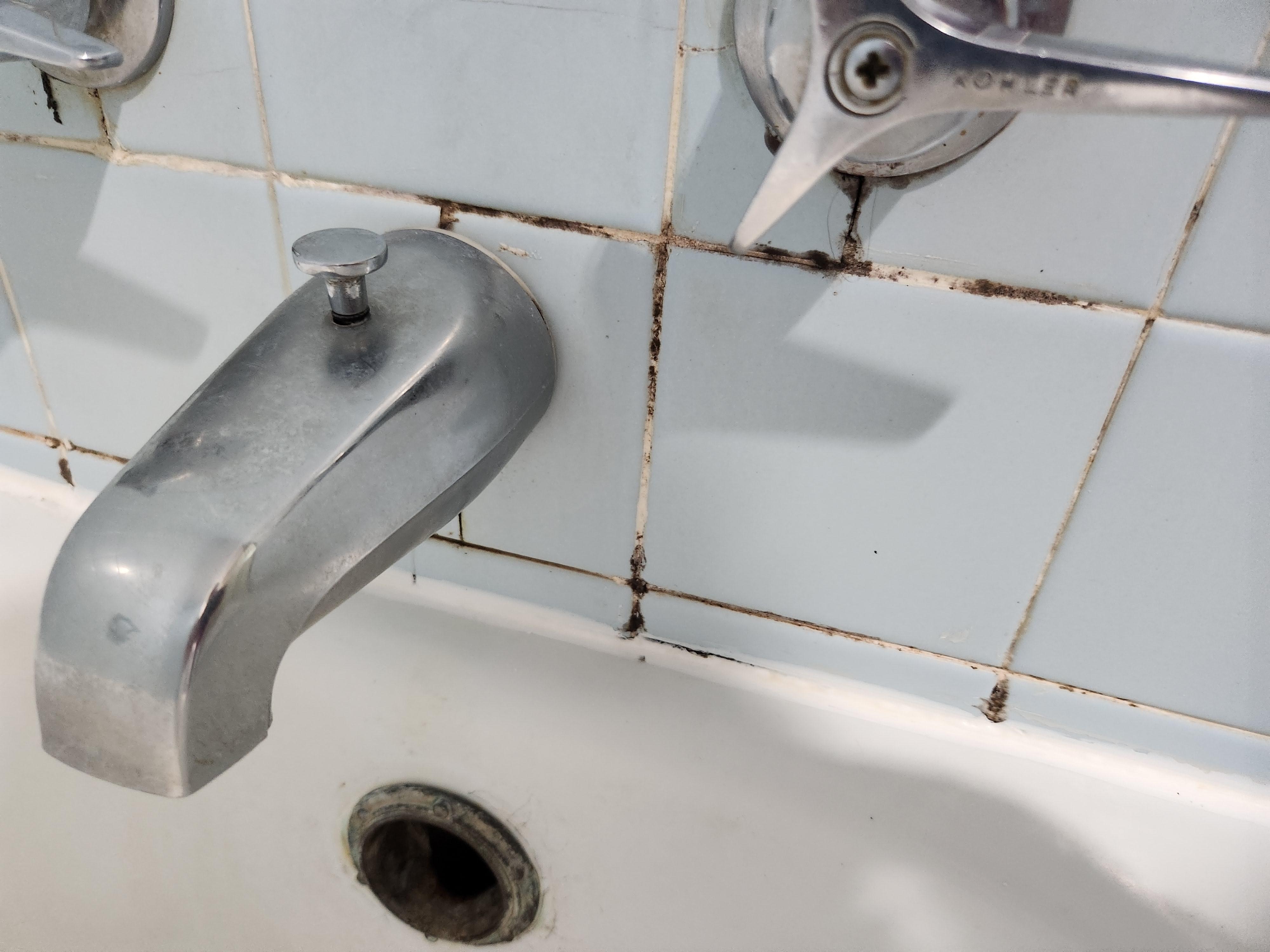 Mold in grout