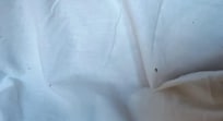 Le drap fourni
