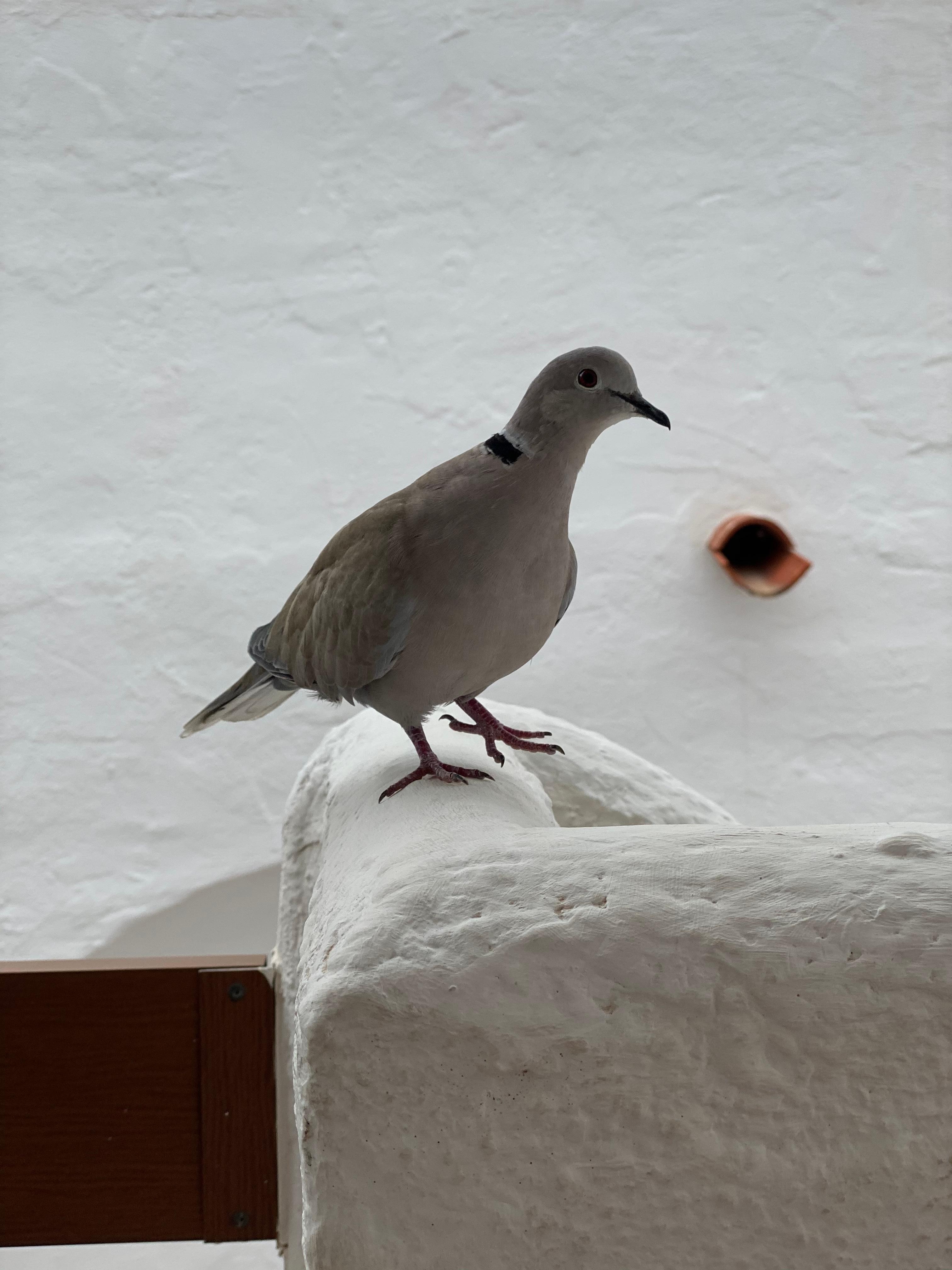 Utsikt fra vår balkong 