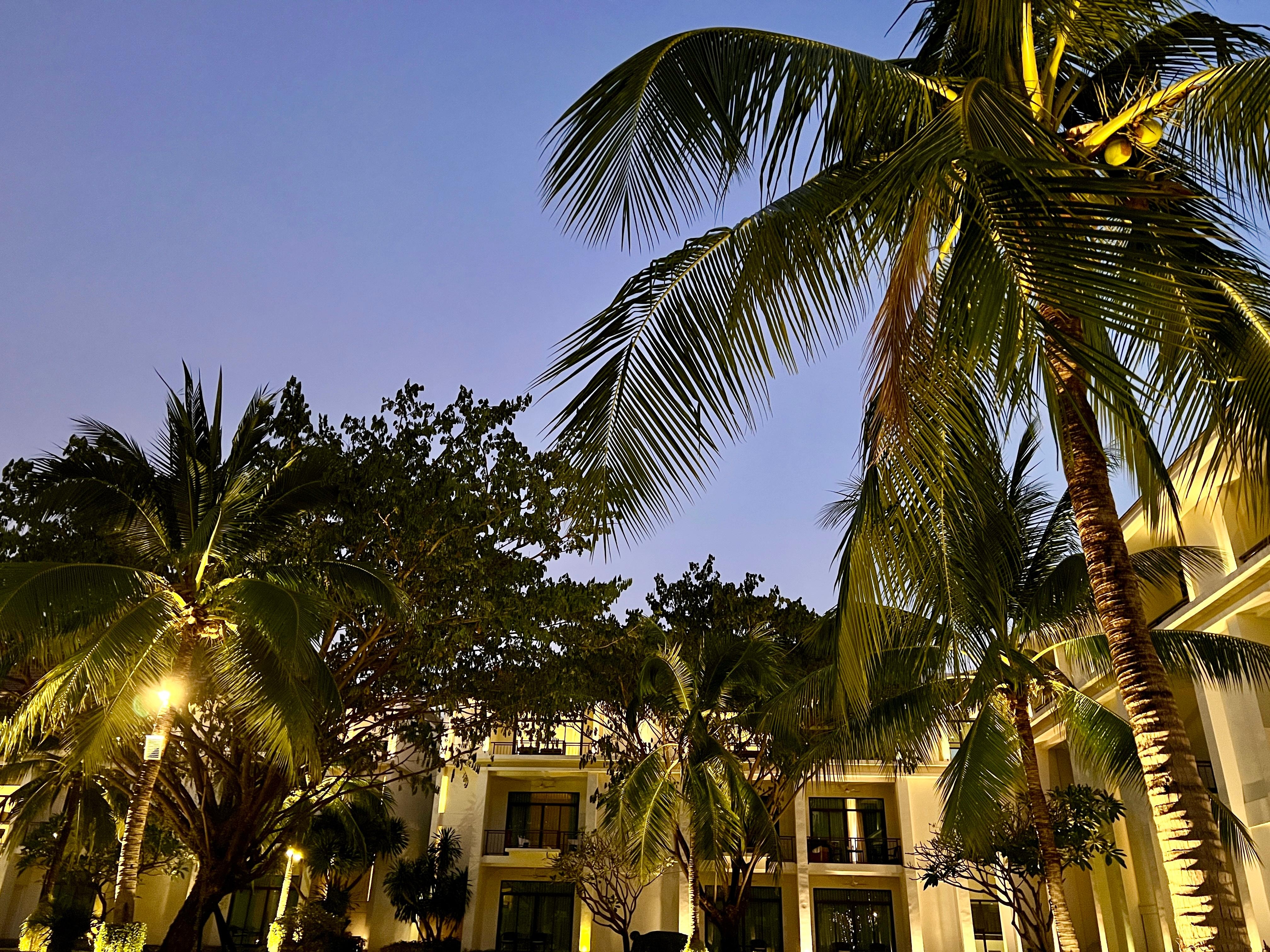 ナイトビューも落ち着いていて好き