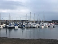 Anstruther  harbour
