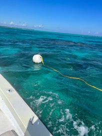 Boat to snorkel at Mexico Rocks