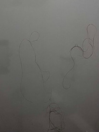 Hair on shower wall