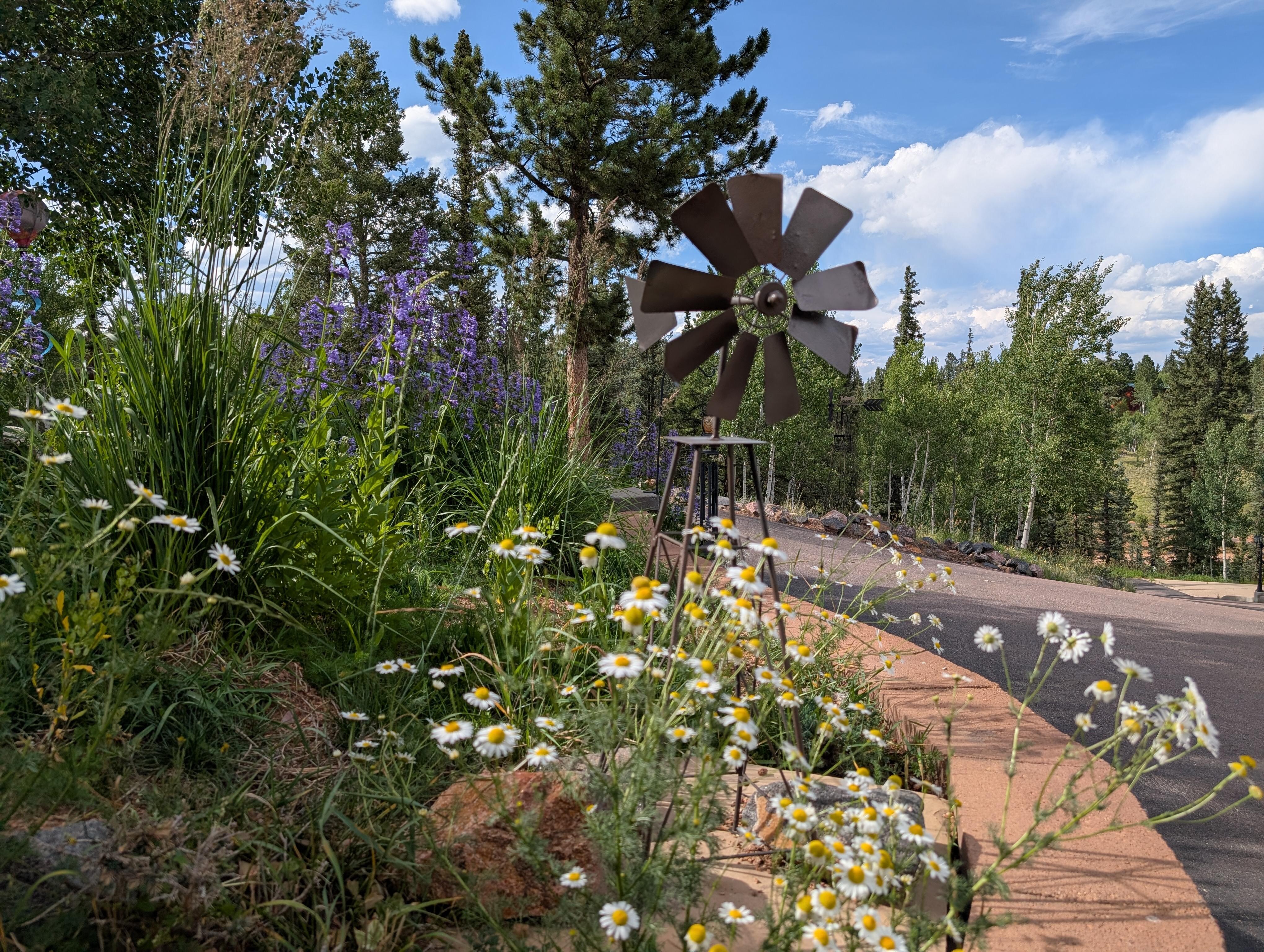 View from the Front.