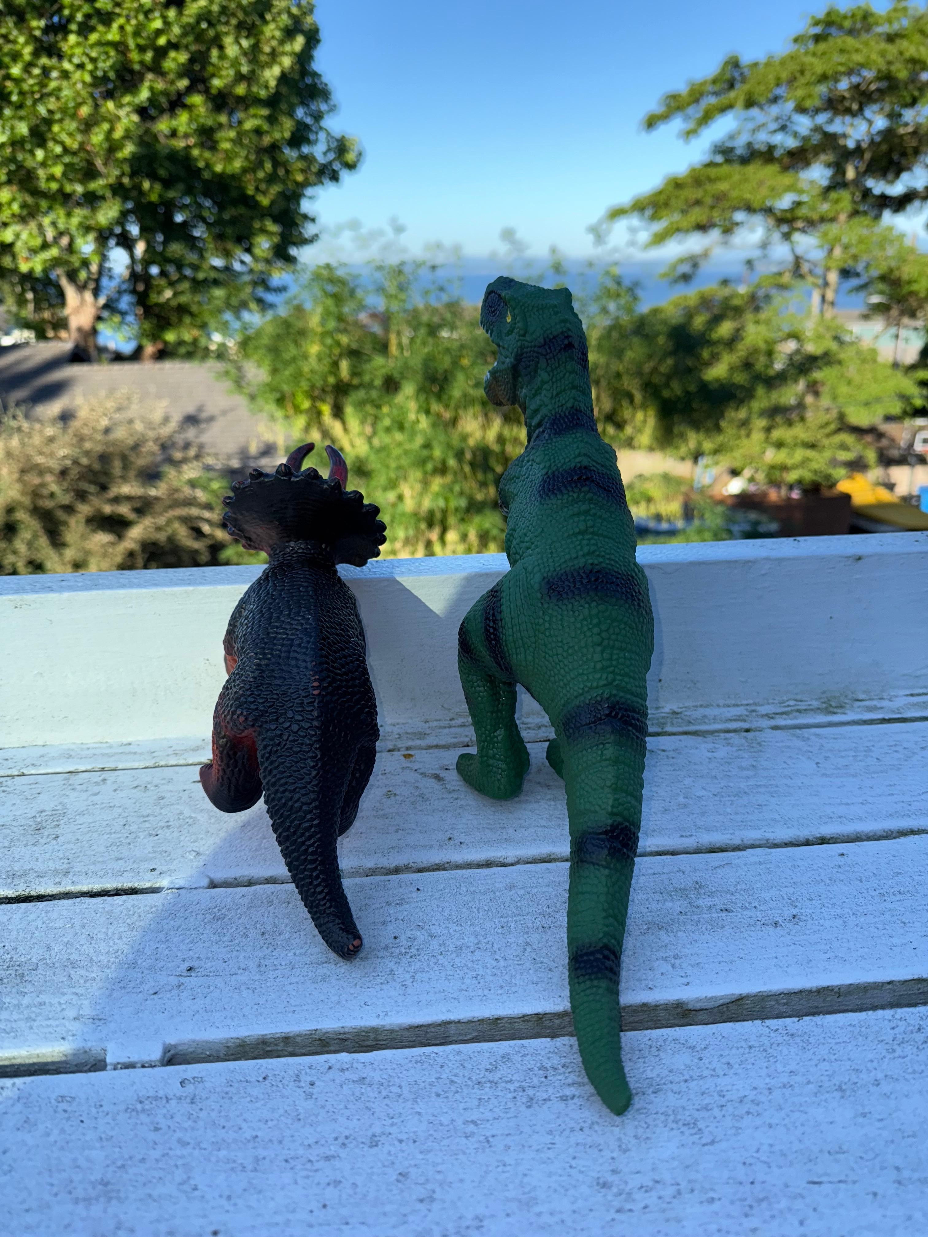 View on the deck (as shown to our 3 year old grandson using his dinosaurs)