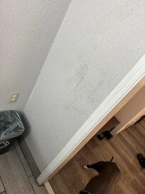 Mysterious stain