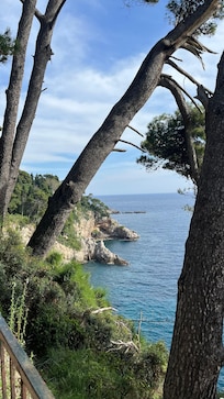 I närheten mot Gamla Staden