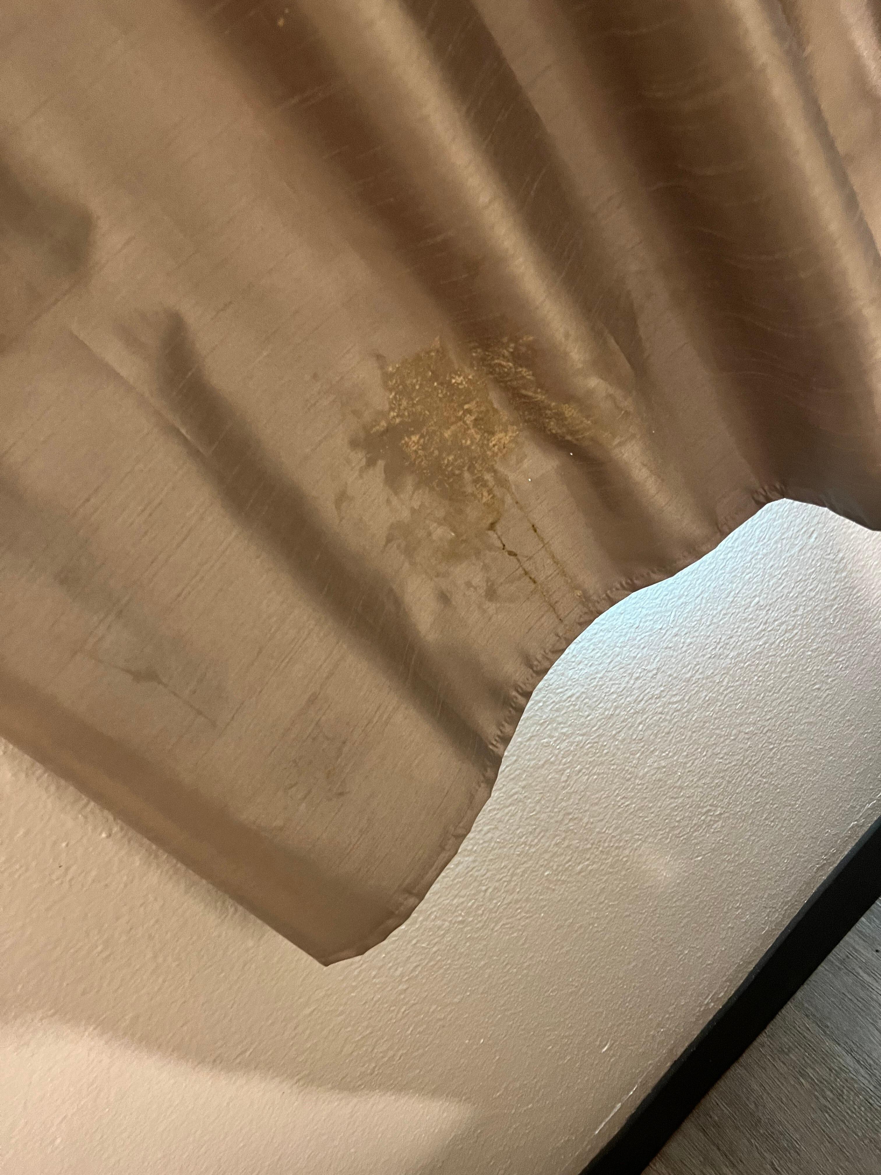 Sucks that something like a puke curtain and an unwillingness to resolve it could wreck an otherwise decent stay.