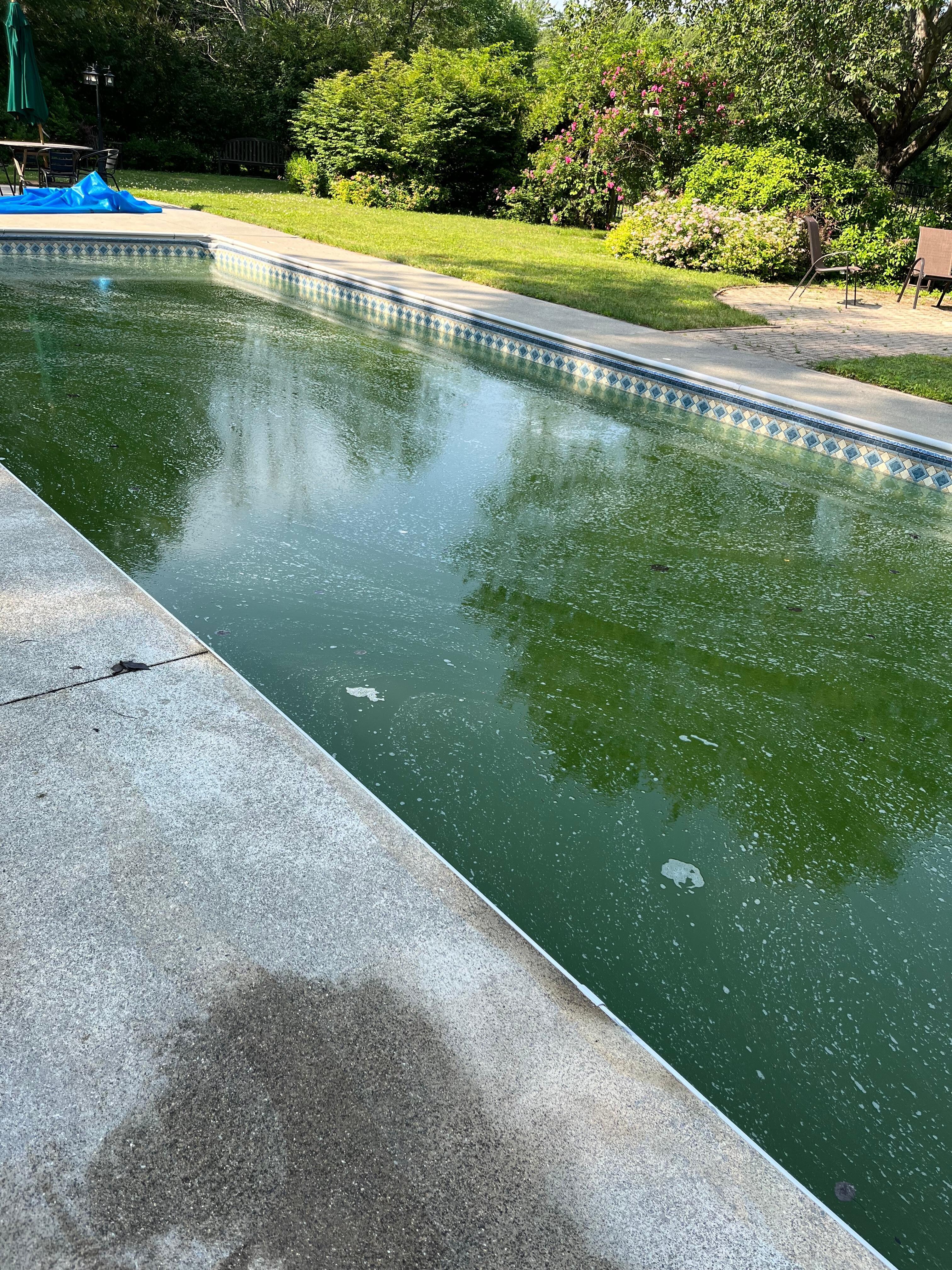 This was the condition of the pool. 
